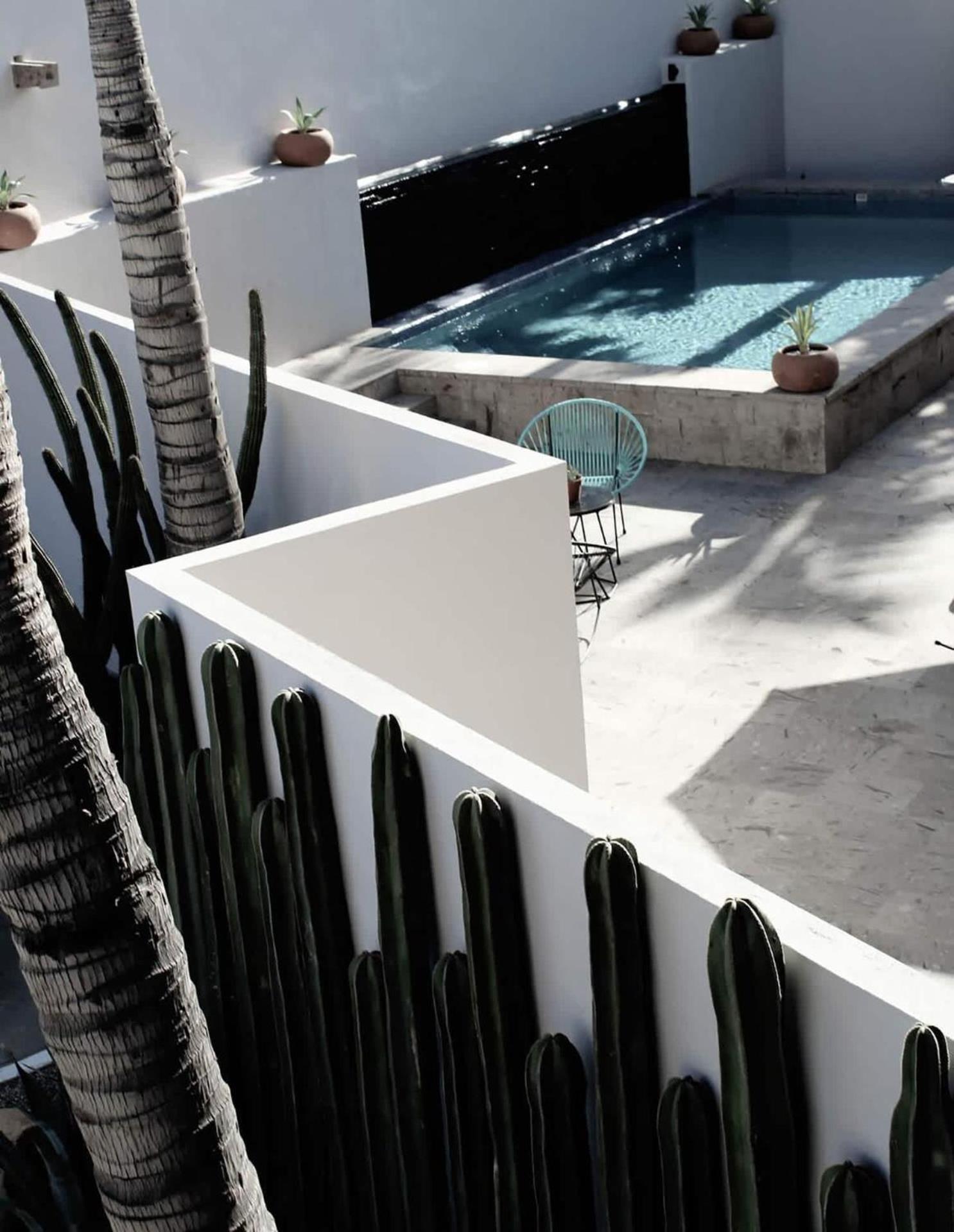 3 Incredible King Suite Rooms In Boutique Hotel San Jose del Cabo Exterior photo
